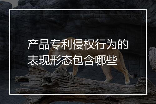 产品专利侵权行为的表现形态包含哪些