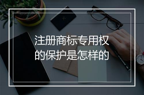 注册商标专用权的保护是怎样的