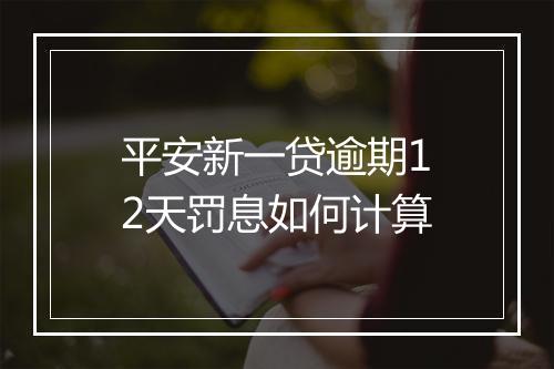平安新一贷逾期12天罚息如何计算