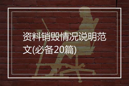 资料销毁情况说明范文(必备20篇)