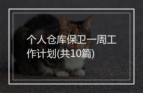 个人仓库保卫一周工作计划(共10篇)