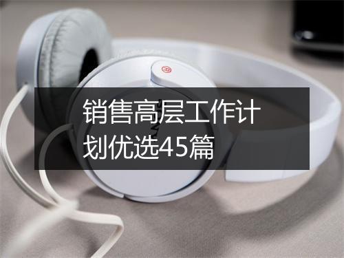 销售高层工作计划优选45篇