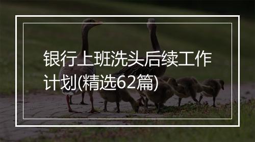 银行上班洗头后续工作计划(精选62篇)