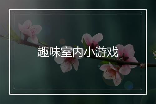 趣味室内小游戏