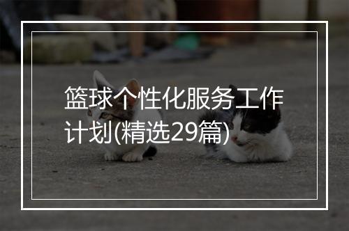 篮球个性化服务工作计划(精选29篇)