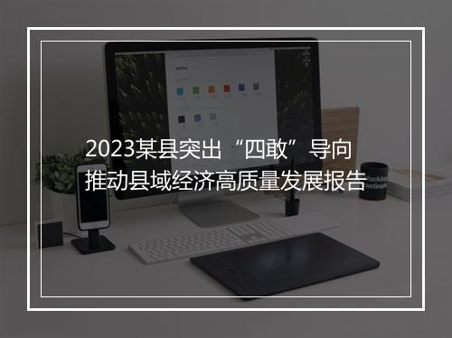 2023某县突出“四敢”导向推动县域经济高质量发展报告