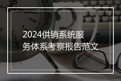 2024供销系统服务体系考察报告范文