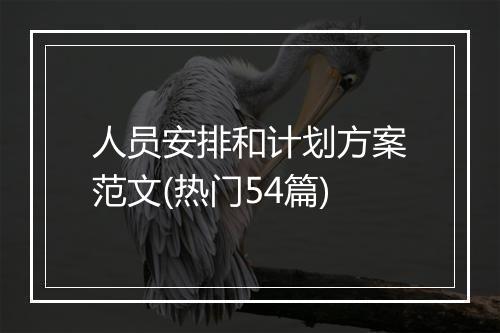 人员安排和计划方案范文(热门54篇)