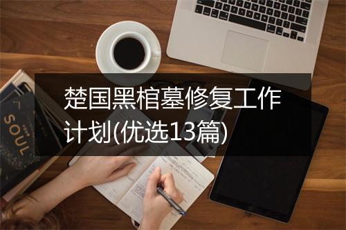 楚国黑棺墓修复工作计划(优选13篇)