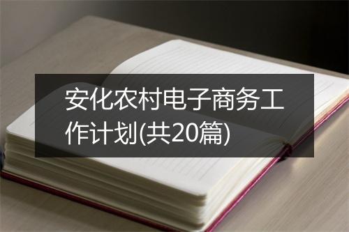 安化农村电子商务工作计划(共20篇)