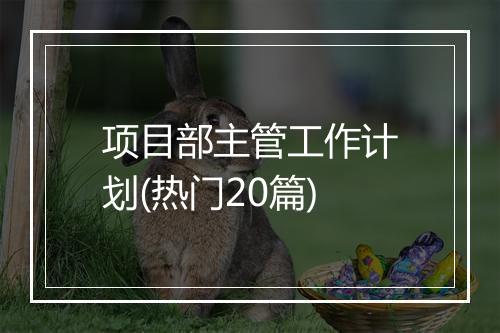 项目部主管工作计划(热门20篇)