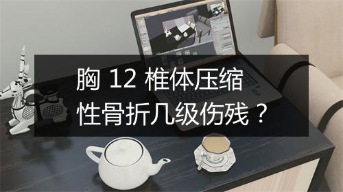 胸 12 椎体压缩性骨折几级伤残?