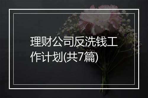 理财公司反洗钱工作计划(共7篇)