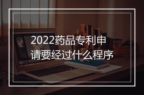 2022药品专利申请要经过什么程序