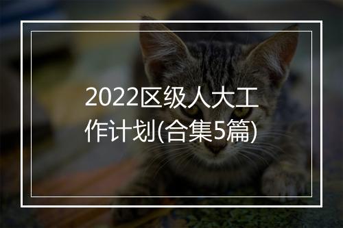 2022区级人大工作计划(合集5篇)