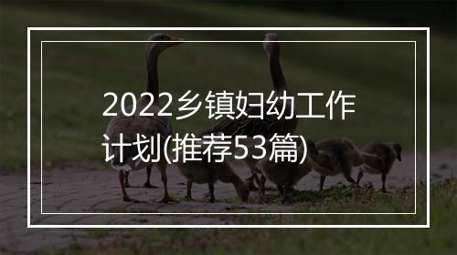 2022乡镇妇幼工作计划(推荐53篇)
