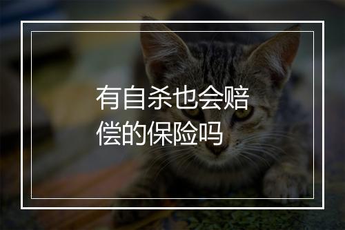 有自杀也会赔偿的保险吗