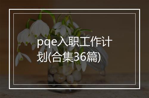 pqe入职工作计划(合集36篇)