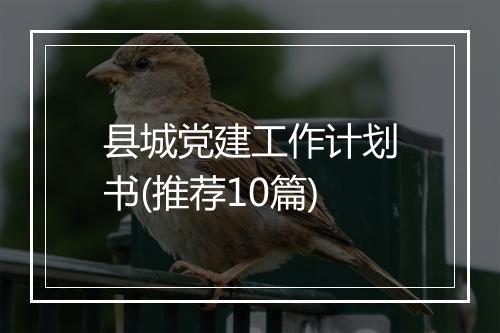 县城党建工作计划书(推荐10篇)