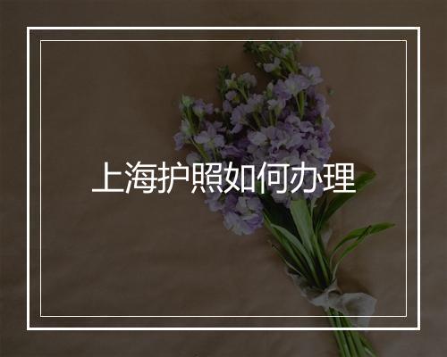 上海护照如何办理