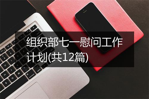 组织部七一慰问工作计划(共12篇)