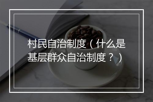 村民自治制度(什么是基层群众自治制度?)