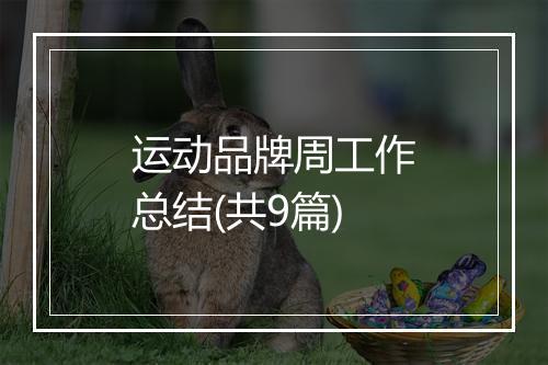 运动品牌周工作总结(共9篇)