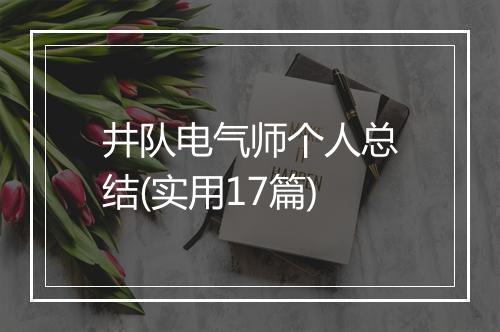 井队电气师个人总结(实用17篇)