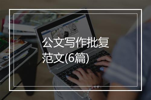 公文写作批复范文(6篇)