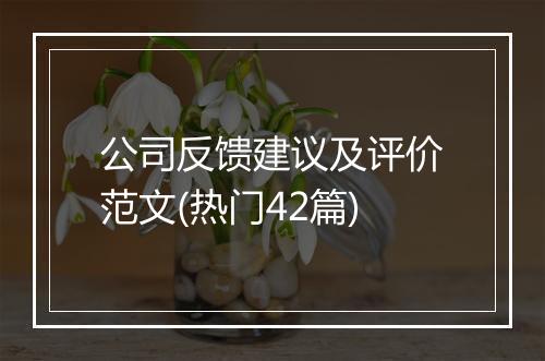公司反馈建议及评价范文(热门42篇)