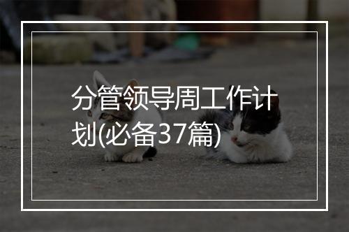 分管领导周工作计划(必备37篇)