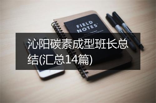 沁阳碳素成型班长总结(汇总14篇)