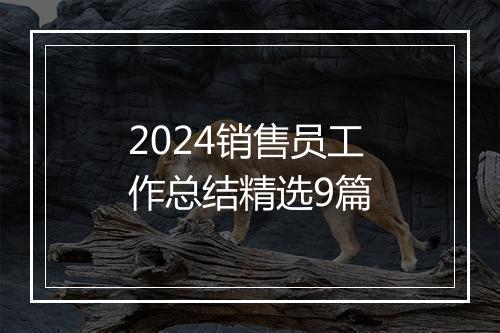 2024销售员工作总结精选9篇