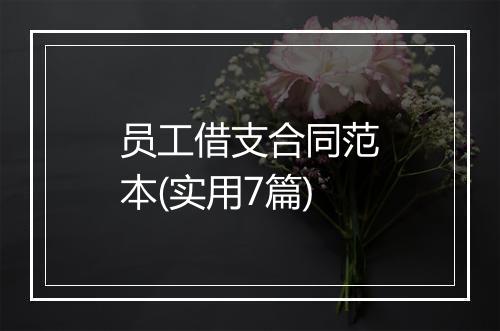 员工借支合同范本(实用7篇)