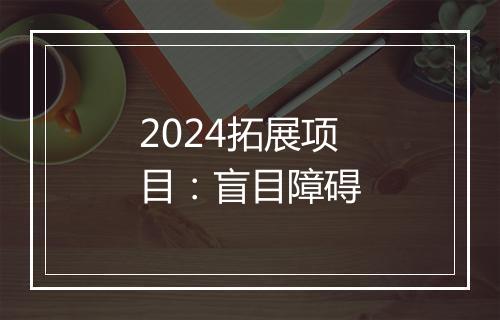 2024拓展项目:盲目障碍