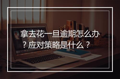 拿去花一旦逾期怎么办?应对策略是什么?