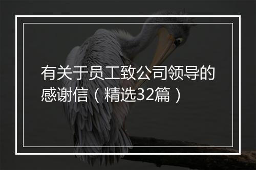 有关于员工致公司领导的感谢信(精选32篇)