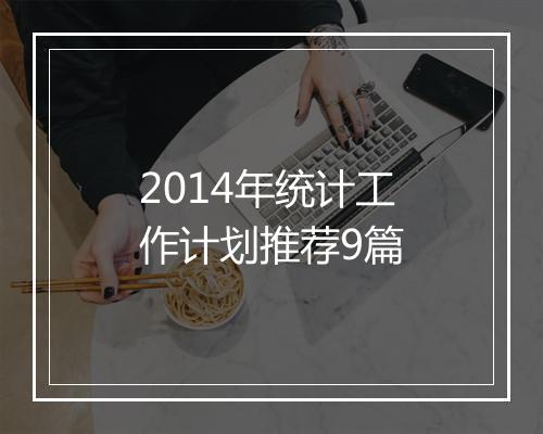 2014年统计工作计划推荐9篇