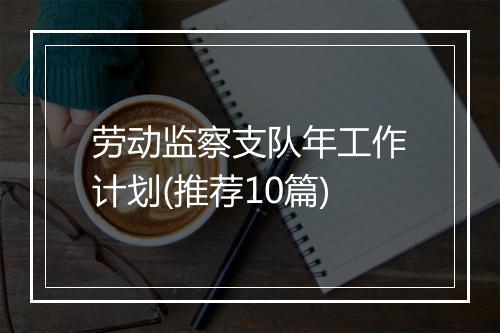 劳动监察支队年工作计划(推荐10篇)