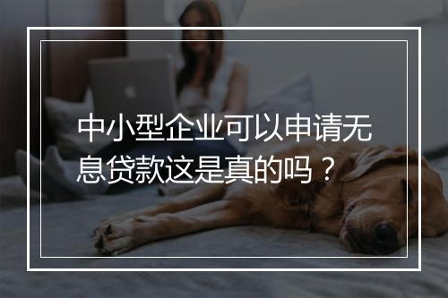 中小型企业可以申请无息贷款这是真的吗?
