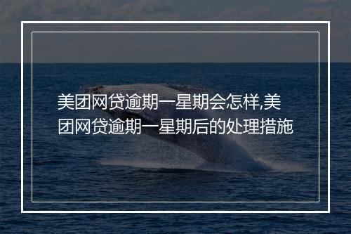 美团网贷逾期一星期会怎样,美团网贷逾期一星期后的处理措施
