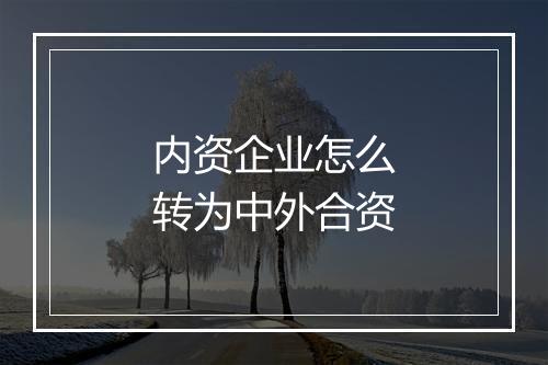 内资企业怎么转为中外合资