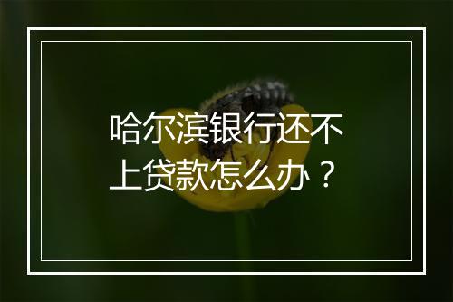 哈尔滨银行还不上贷款怎么办?