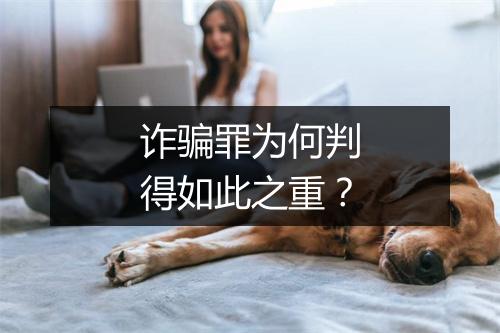 诈骗罪为何判得如此之重?