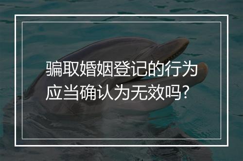 骗取婚姻登记的行为应当确认为无效吗?