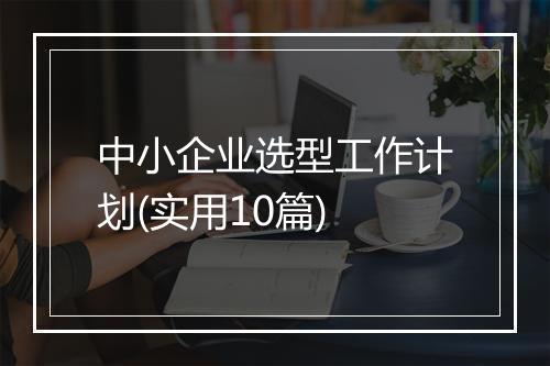 中小企业选型工作计划(实用10篇)