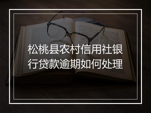 松桃县农村信用社银行贷款逾期如何处理