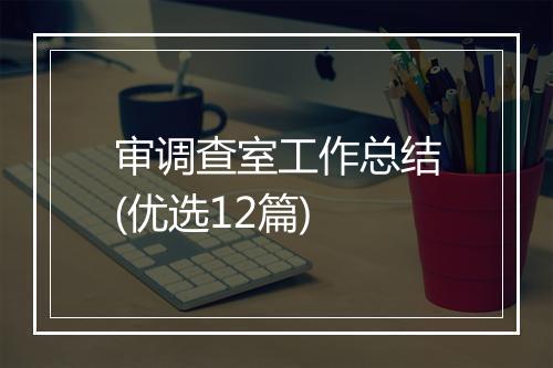 审调查室工作总结(优选12篇)