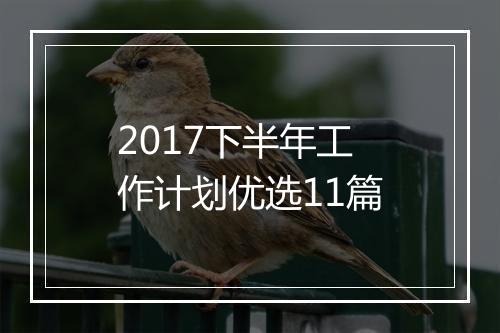 2017下半年工作计划优选11篇