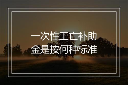 一次性工亡补助金是按何种标准